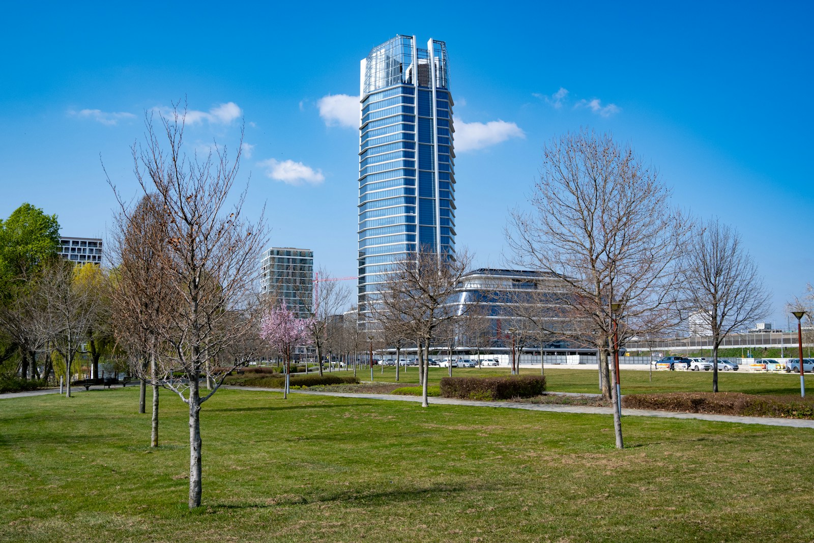 a grassy area with trees and buildings in the background